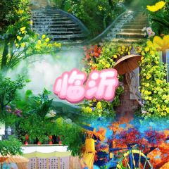 GOLD GARDEN User Photo