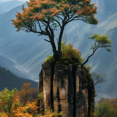 大草原牛羊肉湯鍋(布拖店)張用戶圖片