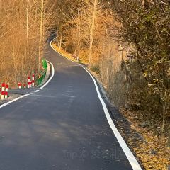 黃栗樹生態美食土菜館張用戶圖片