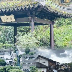 老街泡虾 User Photo