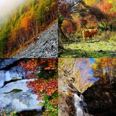 村里香农家菜 User Photo