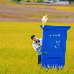 村边·合CAFE User Photo