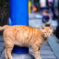 杨萍粉店 User Photo