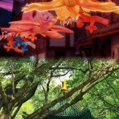 LU PRINCIPAL OLD HOT POT 여행 사진