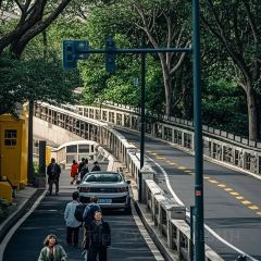 LANG COFFEE User Photo