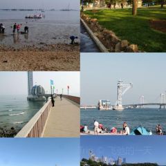 ROYAL OCEAN User Photo