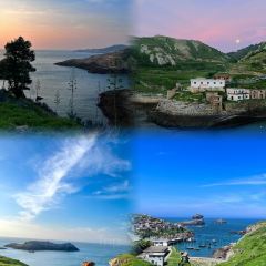 羊橋飯店張用戶圖片