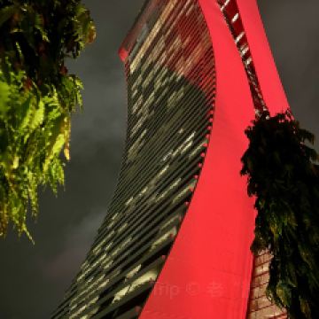 Candlenut用戶圖片