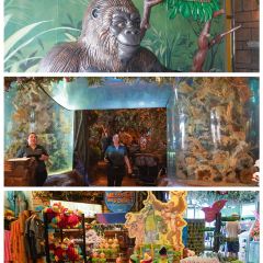 Rainforest Cafe張用戶圖片