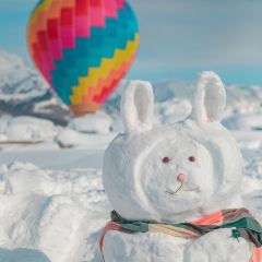 马厩咖啡 User Photo