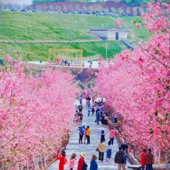 四海烤鸭城 User Photo