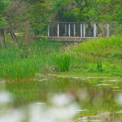 DONG PO SHAN ZHUANG TIAN YUAN SHENG TAI HUO GUO User Photo