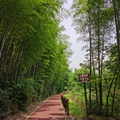 Jiu Yi Jia Tu Cai Guan User Photo