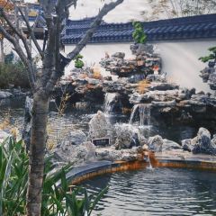 兴宁玖崇湖凤颐温泉酒店·凤凰轩中餐厅 여행 사진