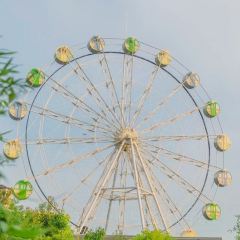 胡同里 User Photo