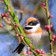 秀山湖畔張用戶圖片