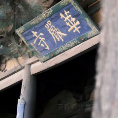 喜晋道面馆(凯德世家店) User Photo