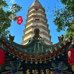 河东夜市 User Photo