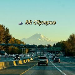 Tilikum Place Cafe User Photo