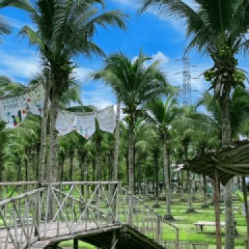 Khao Soi Maesai張用戶圖片