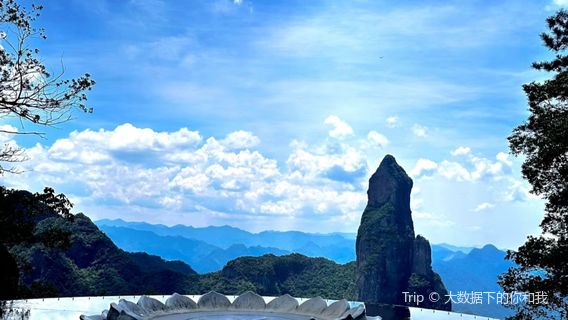 Buddha's Shadow and Lotus Charm