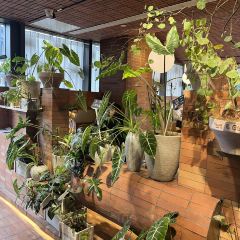 ROIIN用心(嘉兴南湖天地店) 여행 사진