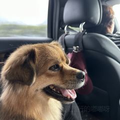 邛海打魚匠張用戶圖片