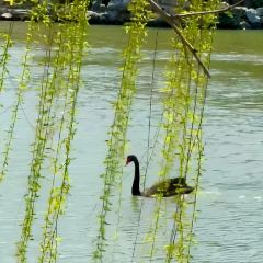 ou yun 여행 사진