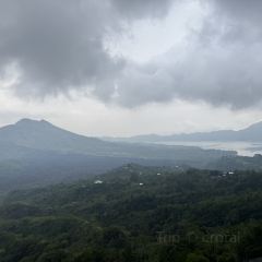 Akasa Coffee Kintamani User Photo
