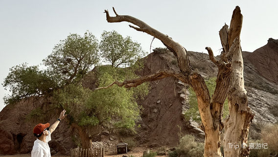 tian shan tuo mu er da xia gu