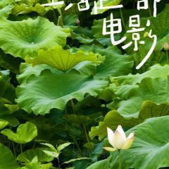 新郭记油茶(八角塘店) User Photo