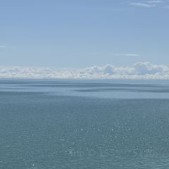 青海湖藏趣部落民宿·特色餐厅 User Photo
