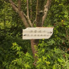 山涧别院 User Photo