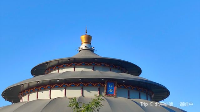 zhong guo wu qiao guo ji za ji da ju yuan