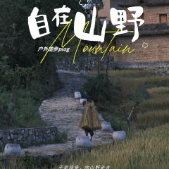多依树下餐厅 User Photo