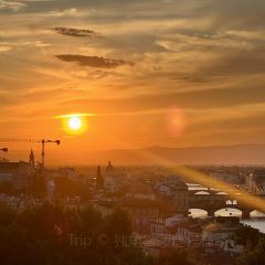 All’Antico Vinaio User Photo