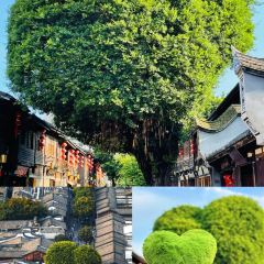 万寿桥·煎包(安泰店) User Photo