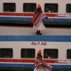 愛樂熱木肉饢烤包子張用戶圖片