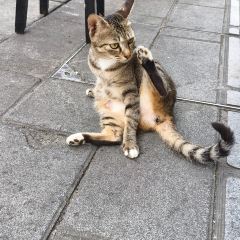 武漢風貌巴公邸飯店·巴公小酒館（黎黃陂路）張用戶圖片