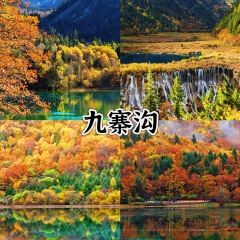 卡万金特色藏餐 User Photo