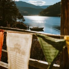 老字号特色火锅店 User Photo