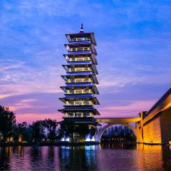 NI HON RYOU RI User Photo