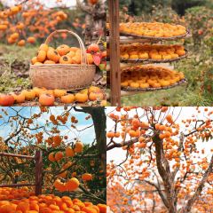 Yaojia Restaurant User Photo