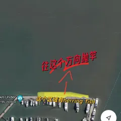 Fish Market User Photo