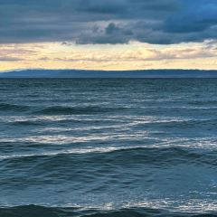 阿勒泰的角落(旅行书吧) User Photo