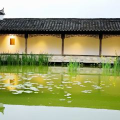 Shilily Qingmeixueshe User Photo