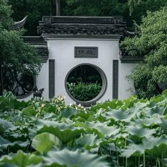 SEA STORY User Photo