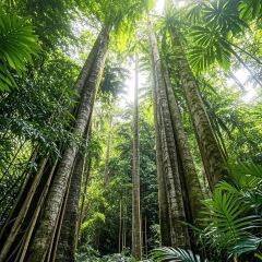 Princess Nan User Photo