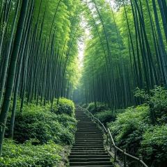 ZHAO YA ZI User Photo