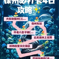 许老八包子铺(回龙窝店) User Photo